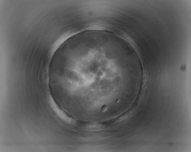 X0000114180795200910081458