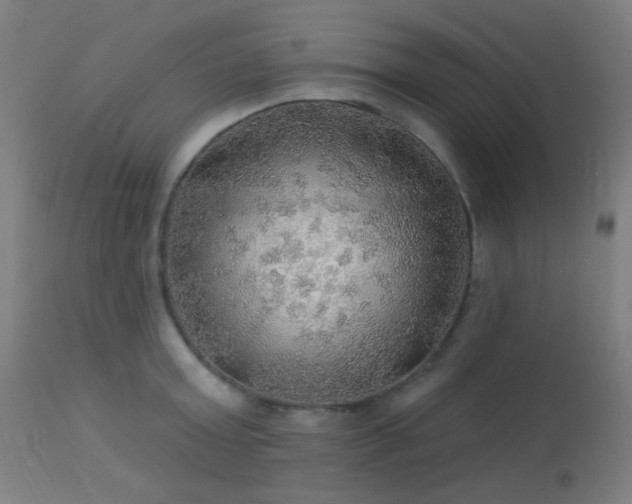 X0000114180803200910081458