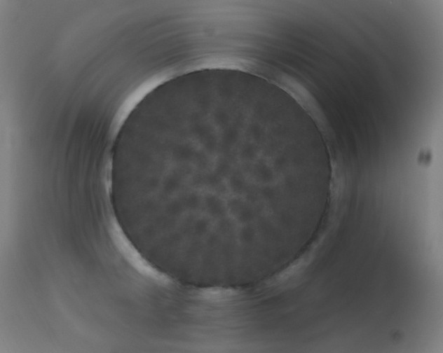 X0000114180804200910081458