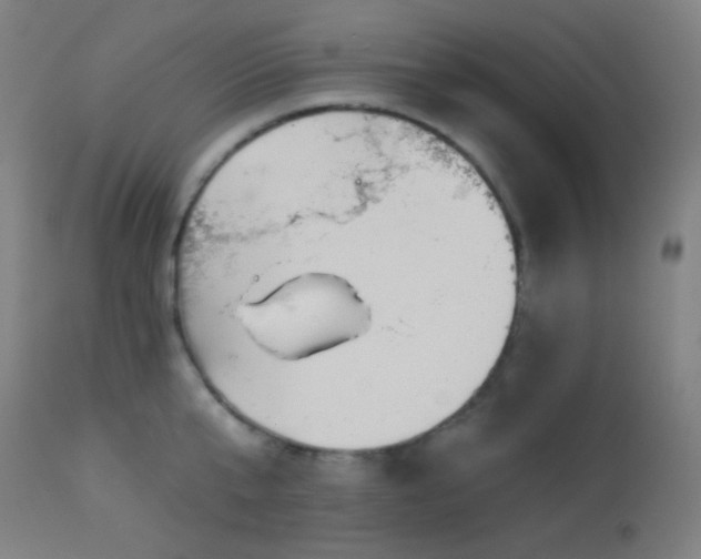 X0000114180807200910081458