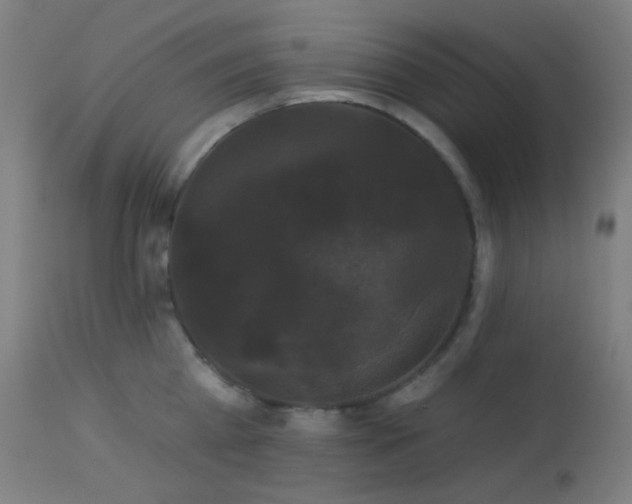 X0000114180809200910081458