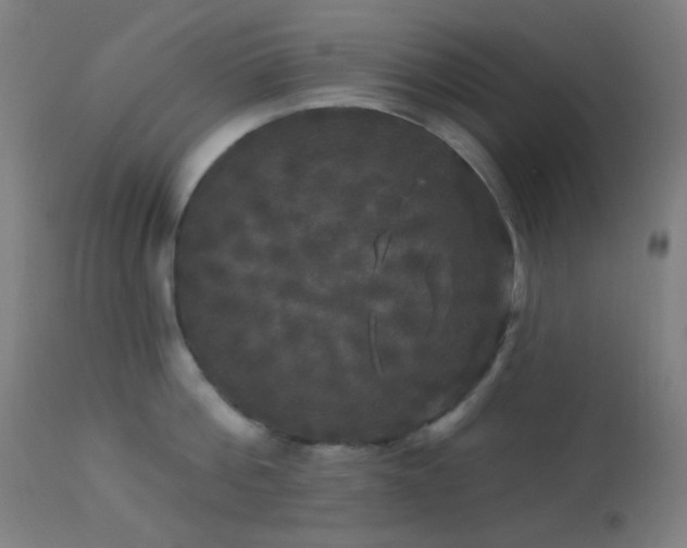 X0000114180812200910081458