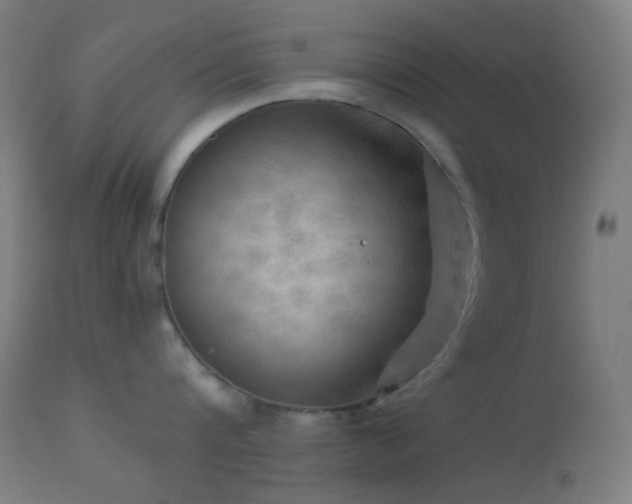X0000114180816200910081458