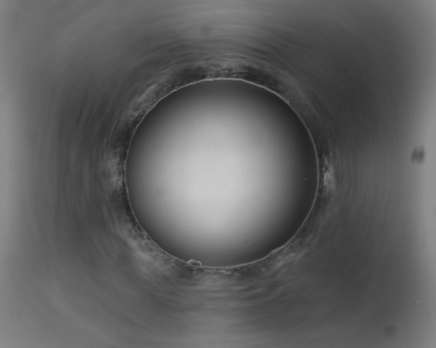 X0000114180819200910081457