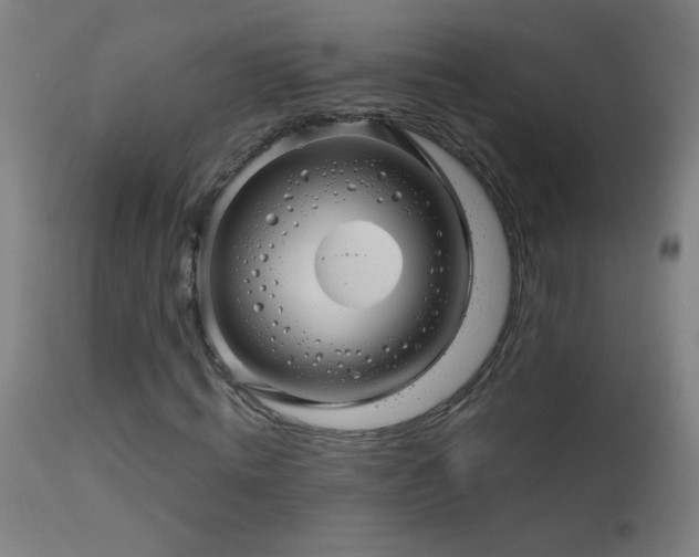 X0000114180820200910081457