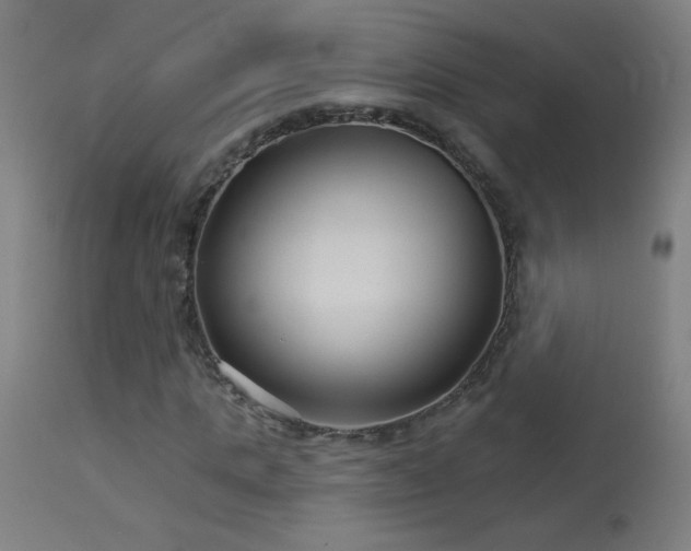 X0000114180821200910081457