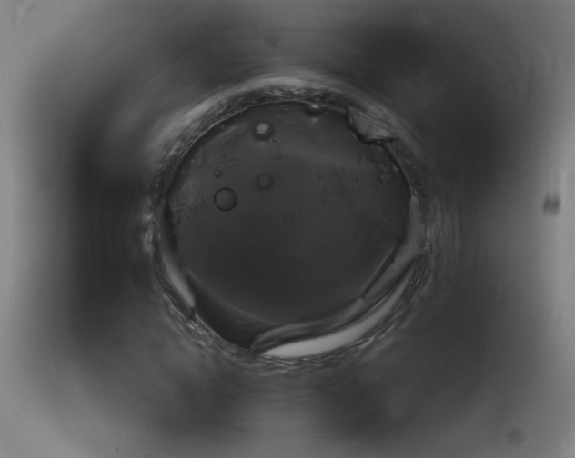 X0000114180822200910081457