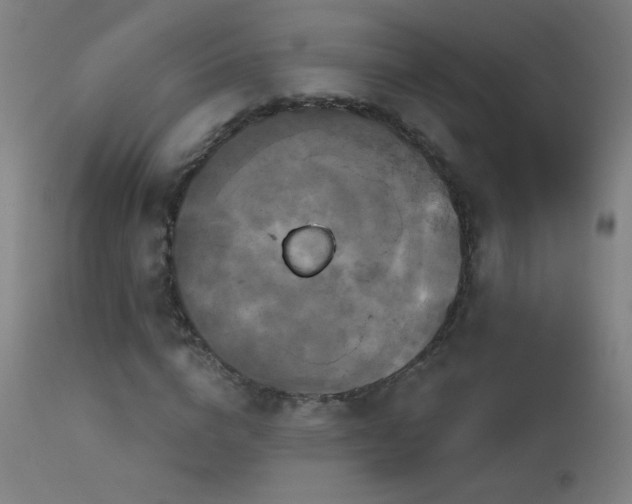 X0000114180824200910081457
