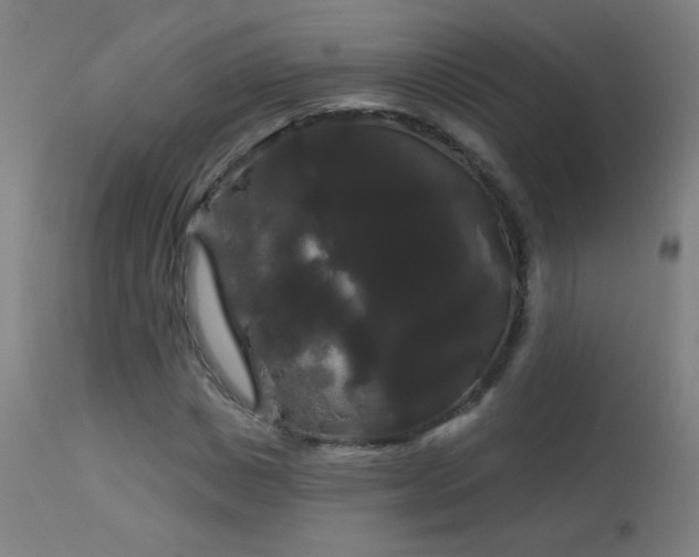 X0000114180825200910081457