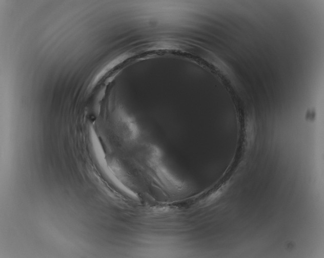 X0000114180826200910081457