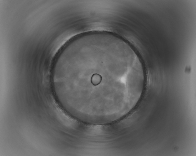 X0000114180828200910081457