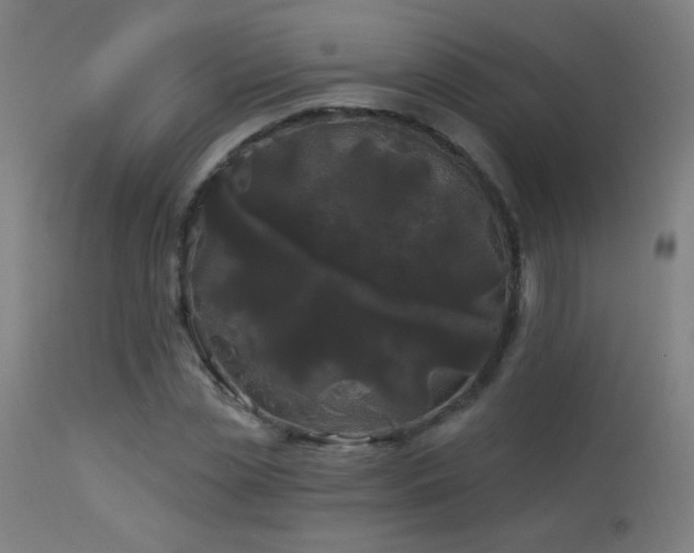 X0000114180829200910081457