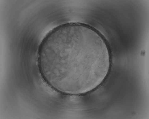 X0000114180832200910081457