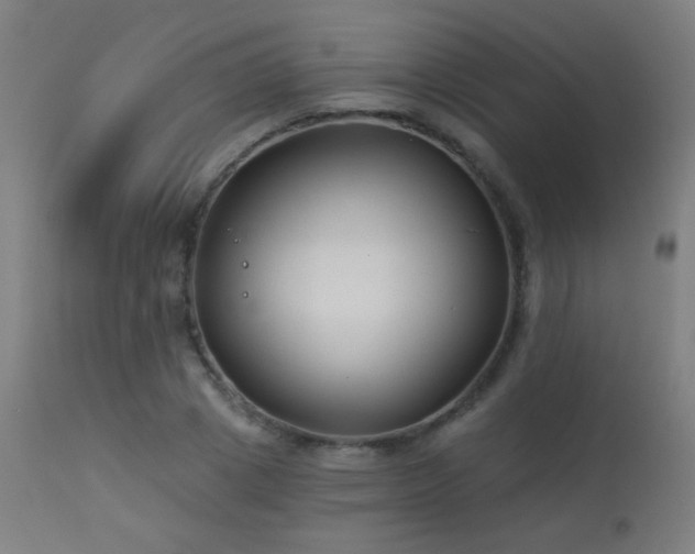 X0000114180833200910081457