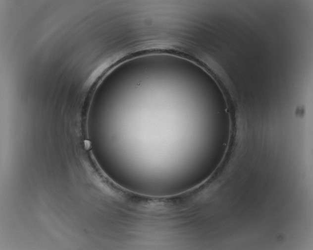 X0000114180834200910081457