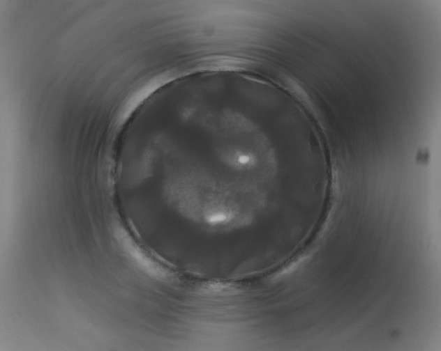 X0000114180835200910081457
