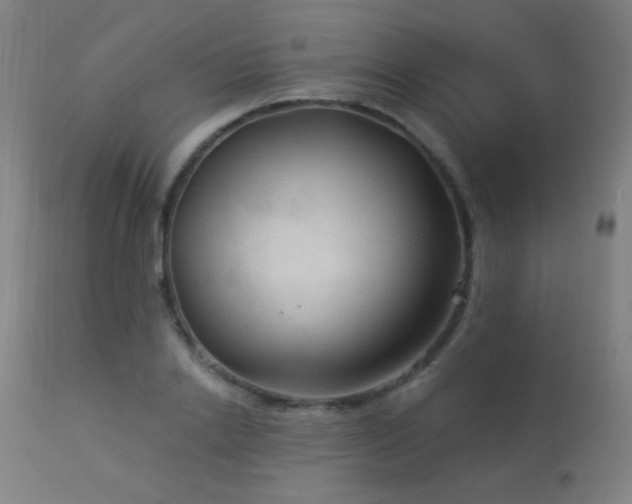 X0000114180838200910081457