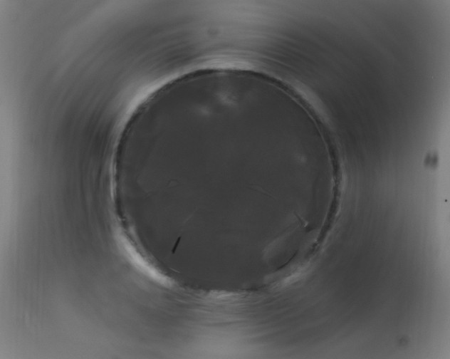 X0000114180840200910081457