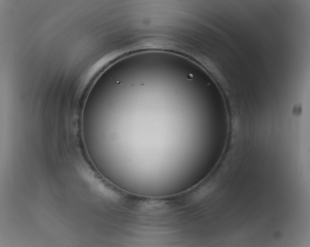 X0000114180846200910081457