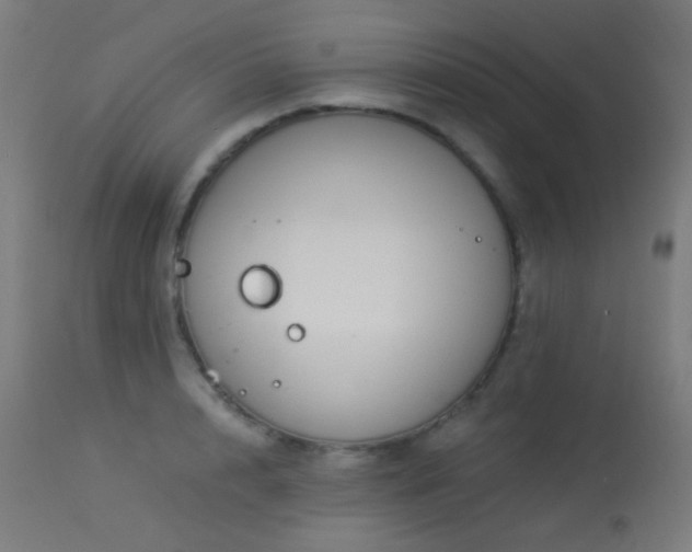 X0000114180848200910081457