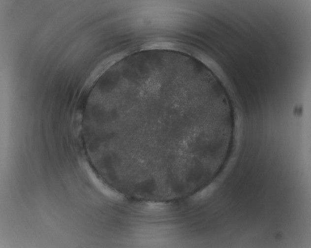 X0000114180849200910081457