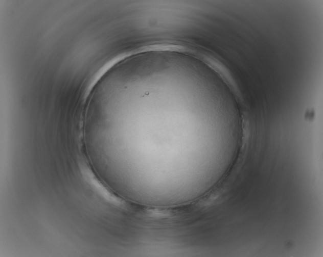 X0000114180852200910081457