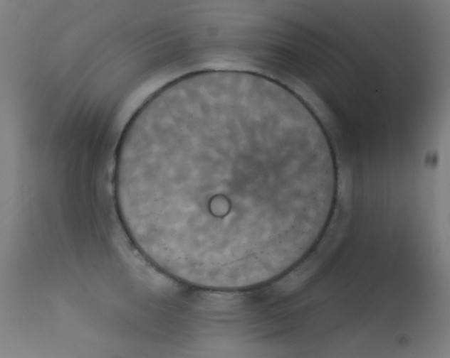 X0000114180856200910081457