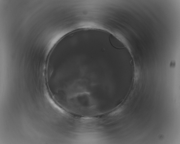 X0000114180863200910081458