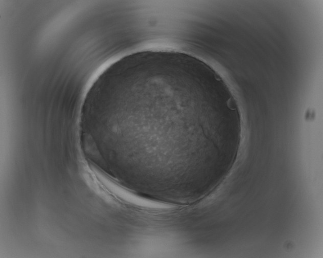 X0000114180864200910081458