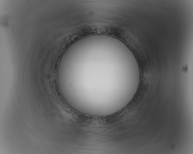 X0000114180865200910081457