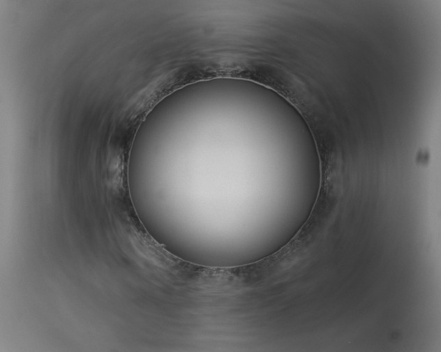 X0000114180866200910081457