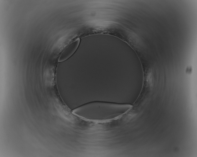 X0000114180868200910081457