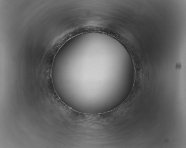 X0000114180870200910081457