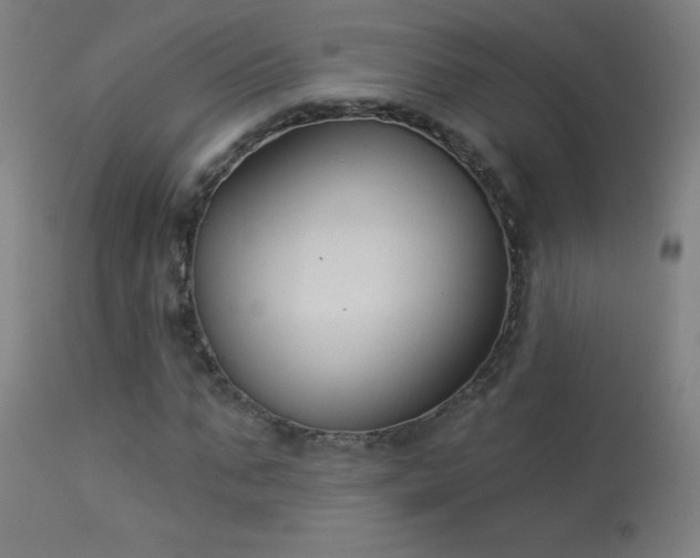 X0000114180871200910081457
