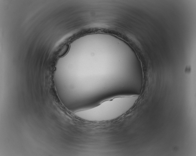 X0000114180872200910081457