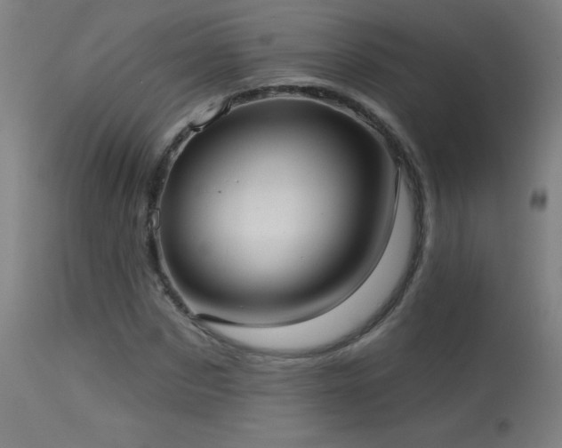 X0000114180873200910081457