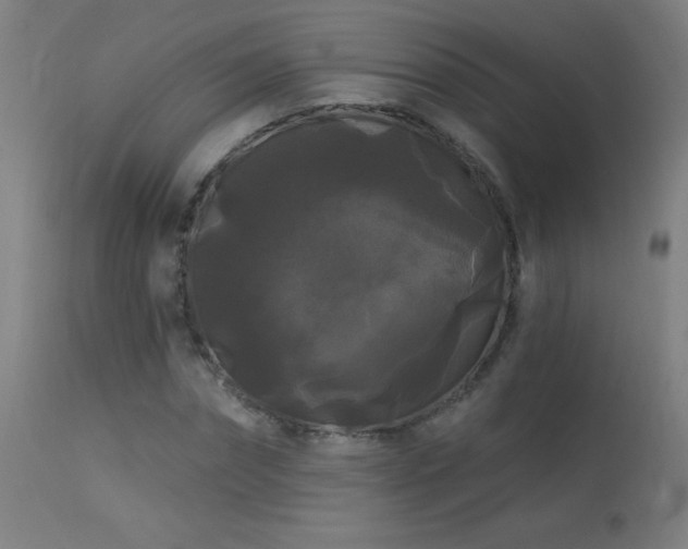X0000114180874200910081457