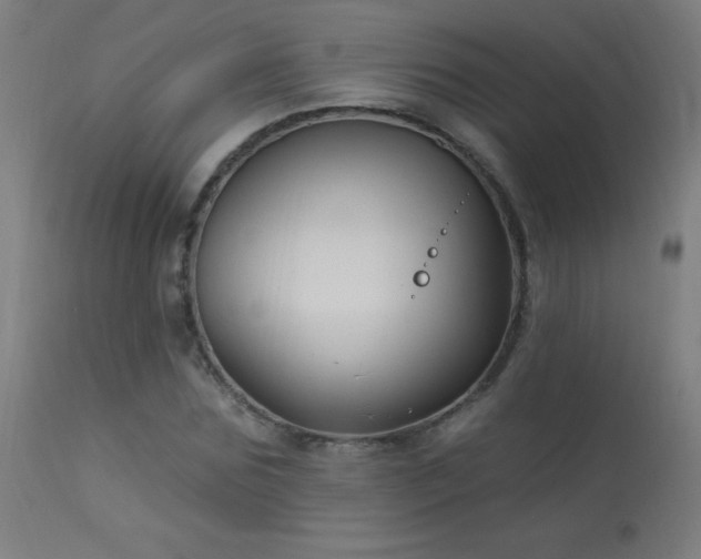 X0000114180875200910081457