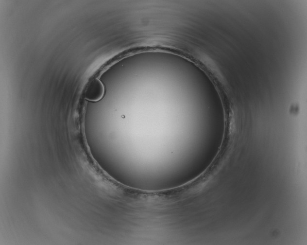 X0000114180876200910081457