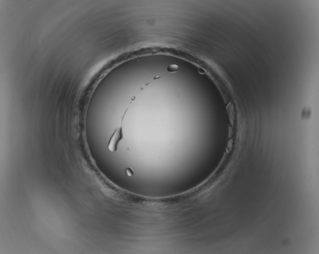 X0000114180878200910081457