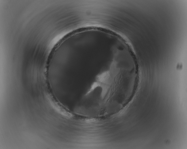 X0000114180879200910081457