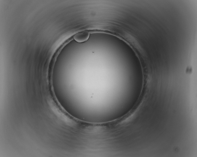 X0000114180884200910081457
