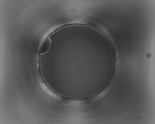 X0000114180892200910081457