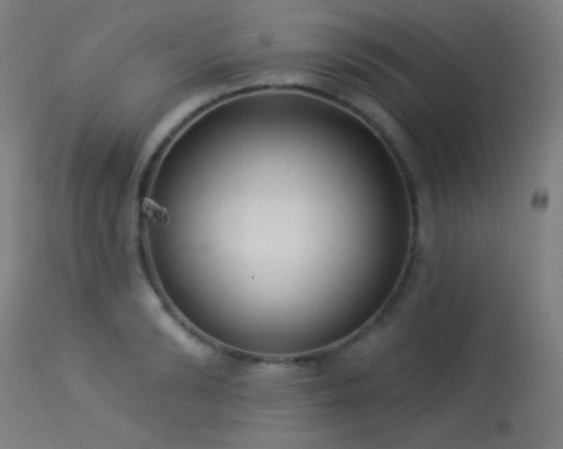 X0000114180894200910081456
