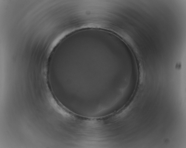 X0000114180896200910081456
