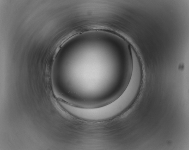 X0000114180897200910081456
