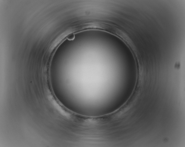 X0000114180898200910081456