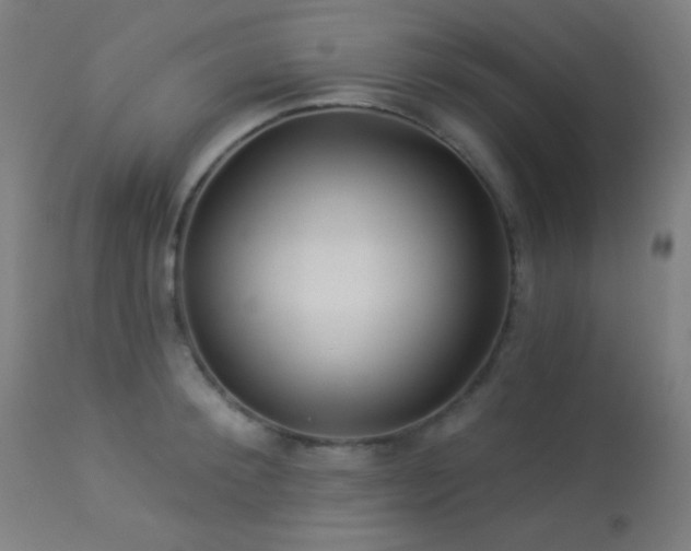 X0000114180900200910081456