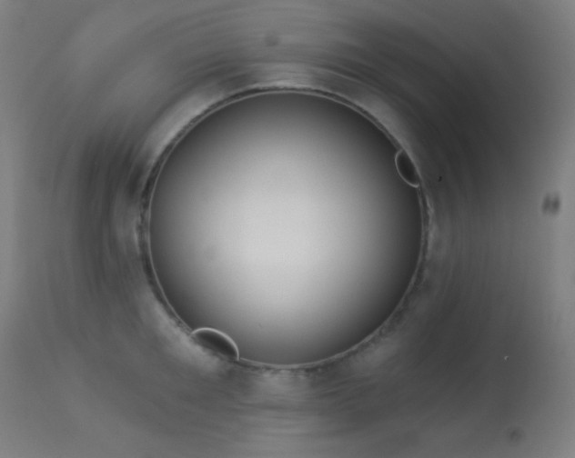 X0000114180901200910081456