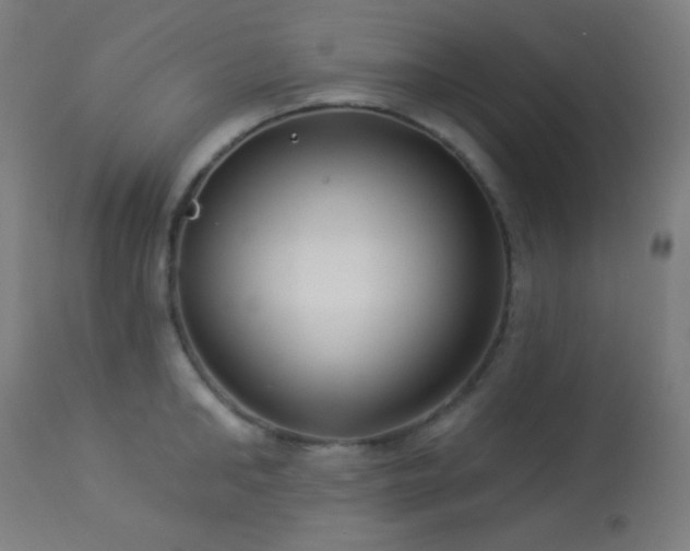 X0000114180902200910081456